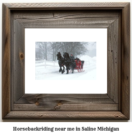 horseback riding near me in Saline, Michigan